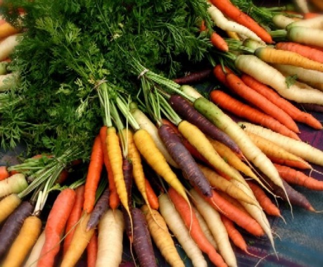 Perfil del consumidor de alimentos ecol�gicos