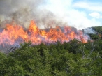 Galicia cede 14 motobombas a ayuntamientos para la extinci�n de incendios forestales