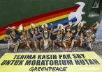 Bosques de Indonesia, felices pero cautos