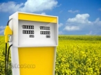 U.S. biofuel targets need more technologies, policies � N.R.C. 
