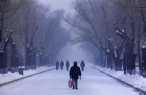 Poco hielo en el �rtico en verano, mucha nieve en invierno en Europa