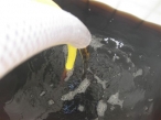 Una empresa malague�a crea un sistema de reciclaje que convierte en potable el agua de las almazaras