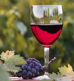 Buenas pr�cticas en viticultura