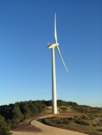 Murcia. Patronal del sector de Energ�as Renovables en la Regi�n pide el apoyo de la Comunidad para evitar el cierre de empresas
