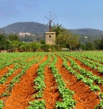 Andaluc�a. CAAE presenta en C�rdoba su 'Norma de Responsabilidad Social' para empresas ecol�gicas