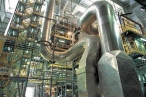 �Biomasa, alternativa energ�tica�