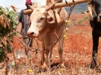 Climate financing for developing nations harboring �uncertainties� 
