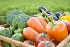 Grupos de consumo: retomar el control sobre la alimentaci�n