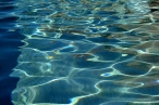 'Stone Family Foundation' premiar� proyectos que contribuyan a extender el acceso al agua potable
