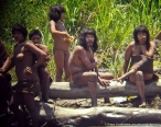 Madereros ilegales arrestados d�as despu�s de la publicaci�n de las fotos de ind�genas aislados