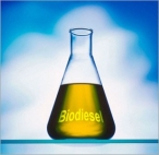 �Biodiesel, futuro energ�tico�