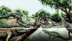 Hasta 14 especies de cocodrilos diferentes viv�an en Sudam�rica hace 9 millones de a�os
