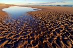 ONGs ecologistas piden soluciones a la crisis ambiental de Murcia