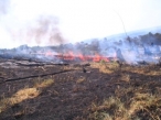 Junta de Andaluc�a pide extremar la precauci�n en quemas agr�colas o de residuos por el actual peligro alto de incendios