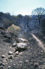 Indra desarrolla en Le�n un sistema de detecci�n de incendios por an�lisis t�rmico