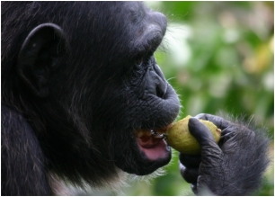 306_nhpc_anyportadas