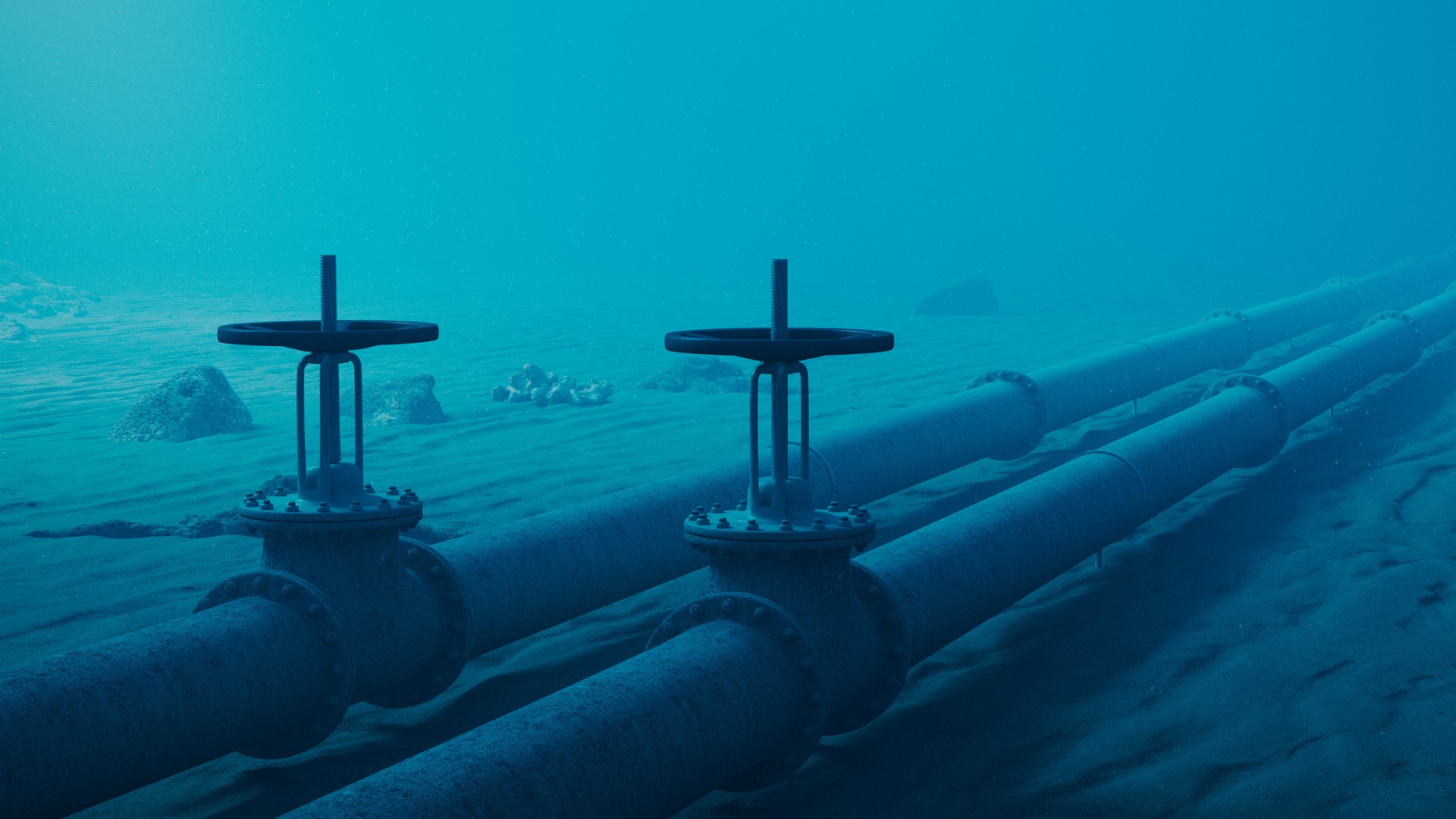 fuel, fuel of the future