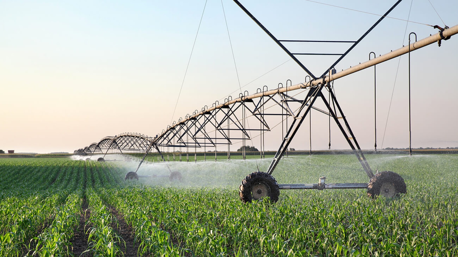 hydrogen agriculture