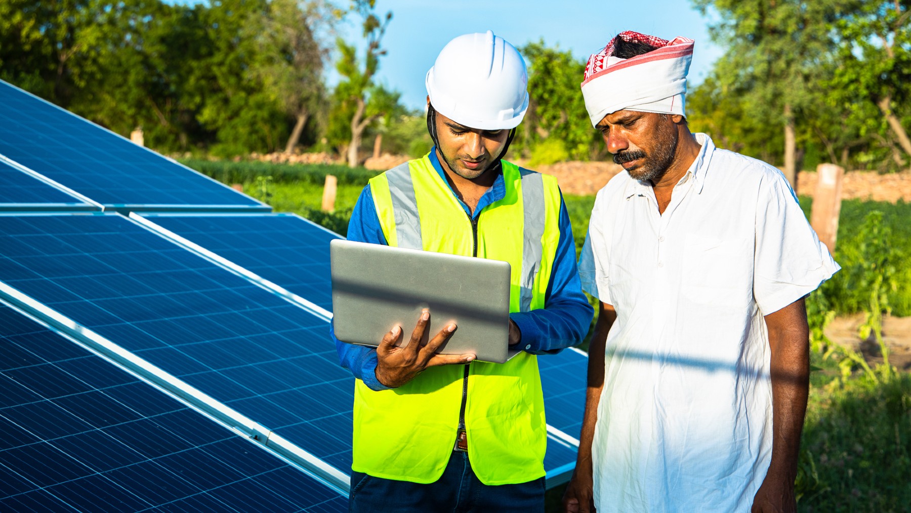 agriculture, agrivoltaics