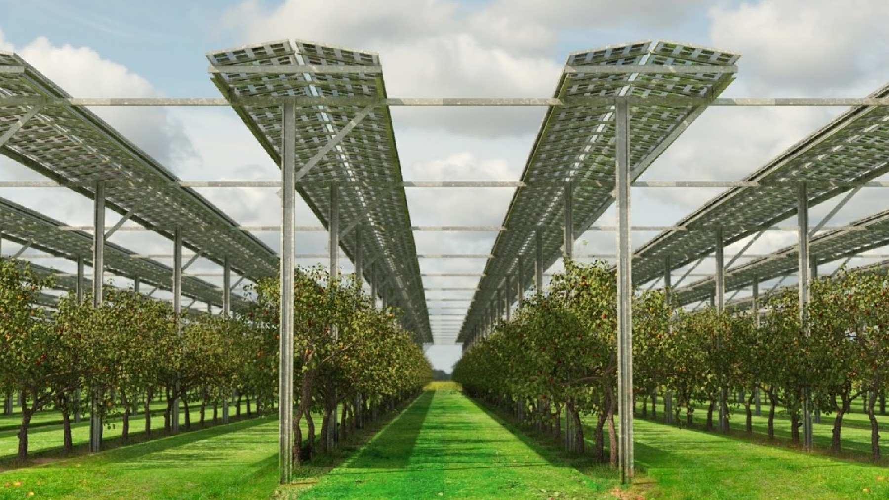 solar energy, agrivoltaics