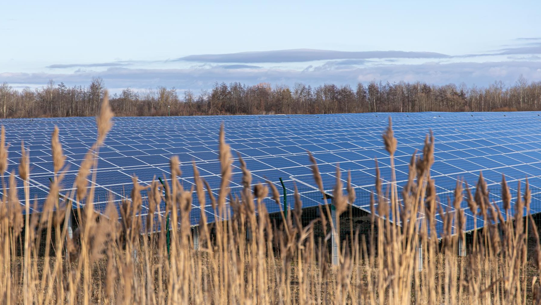 solar energy, agrivoltaics