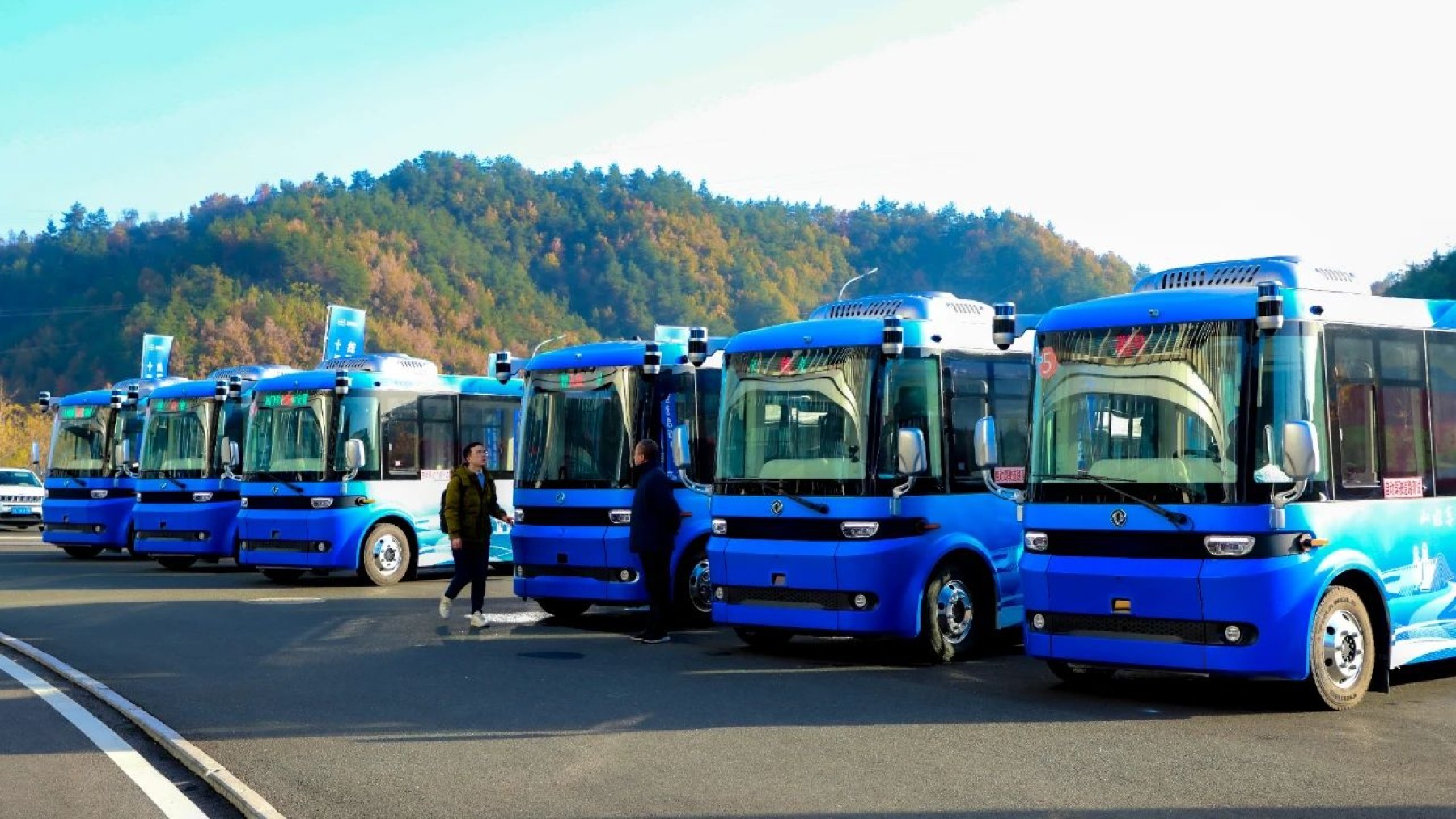 hydrogen buses