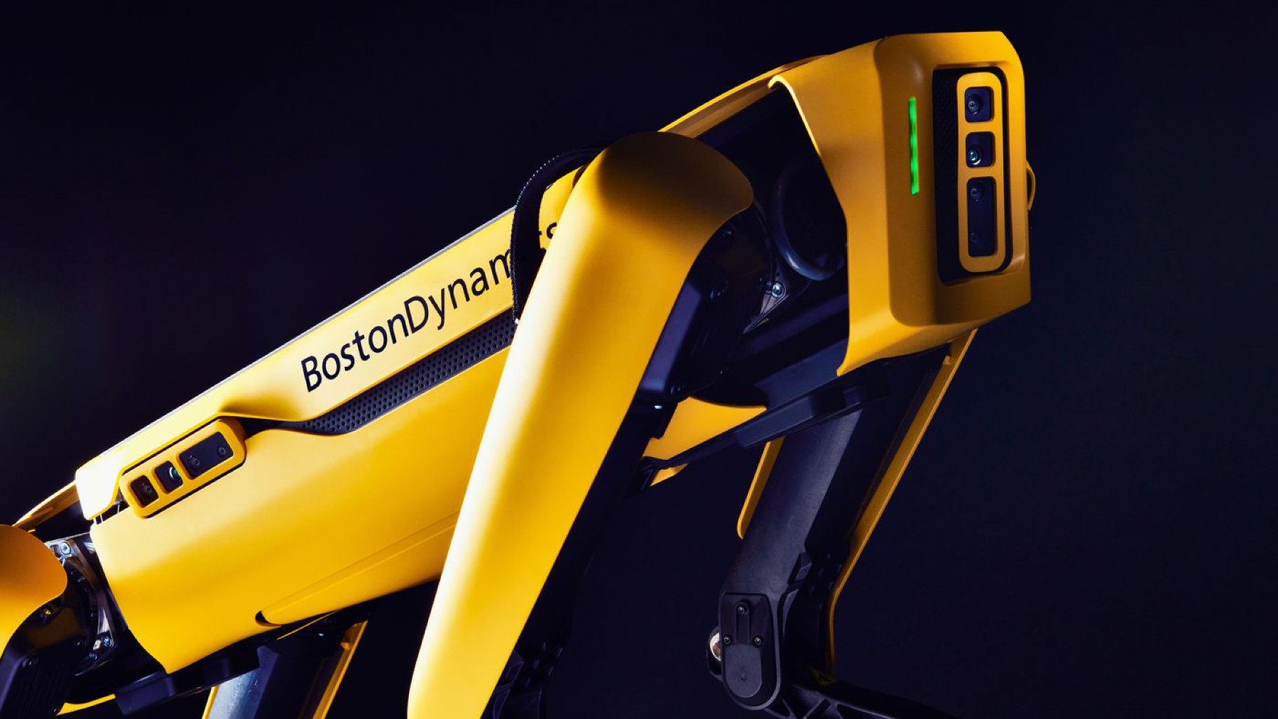 spot, optimus elon musk