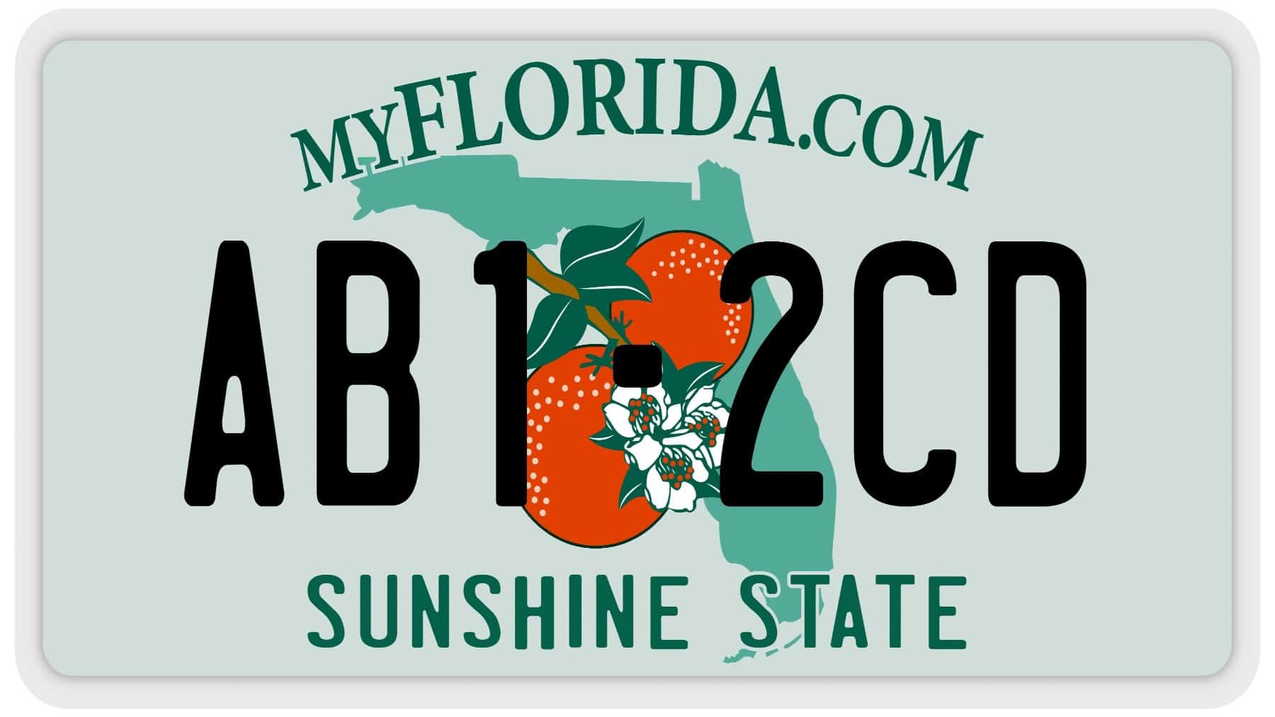 Florida license plates