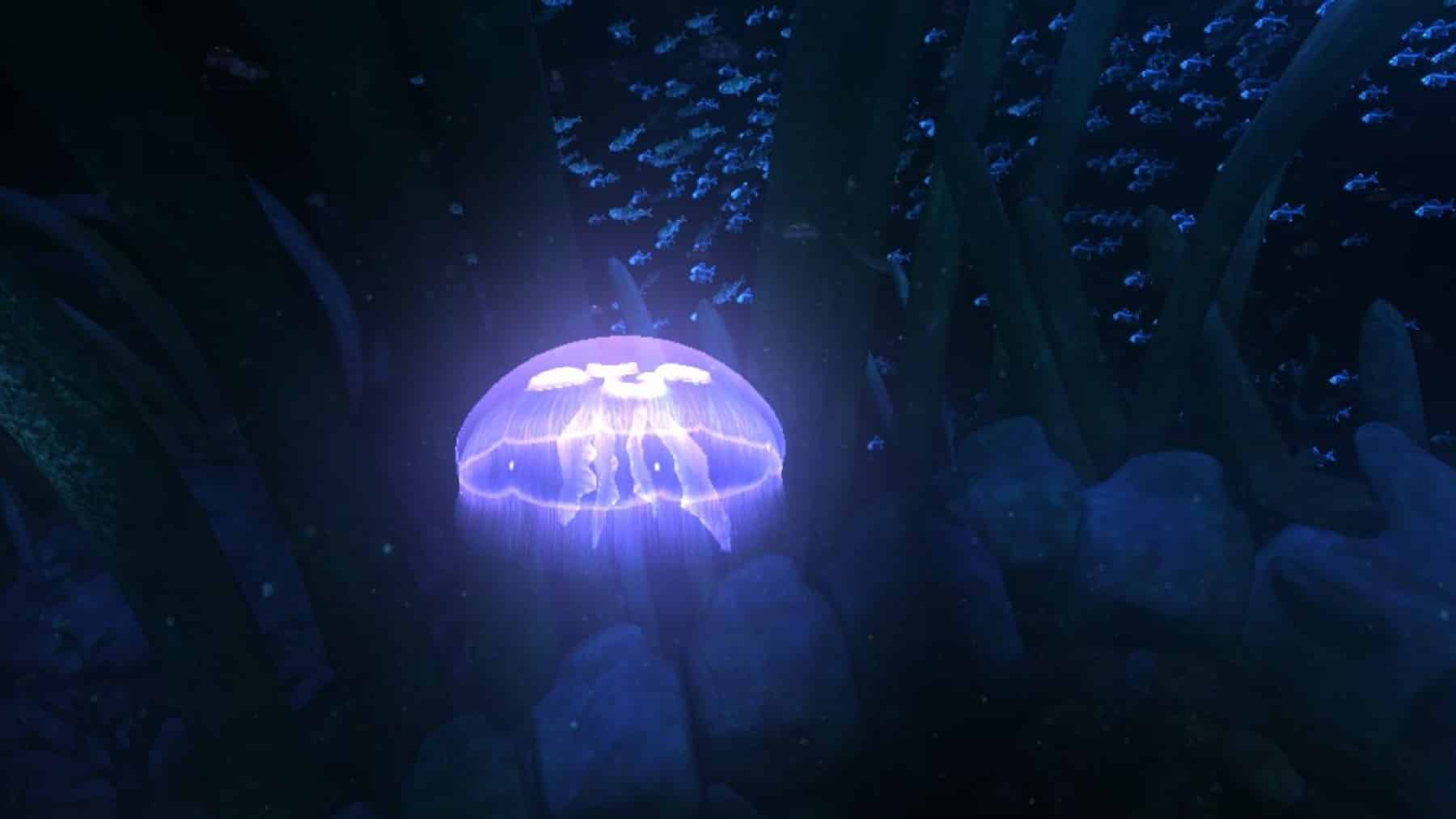 Jellyfish energy