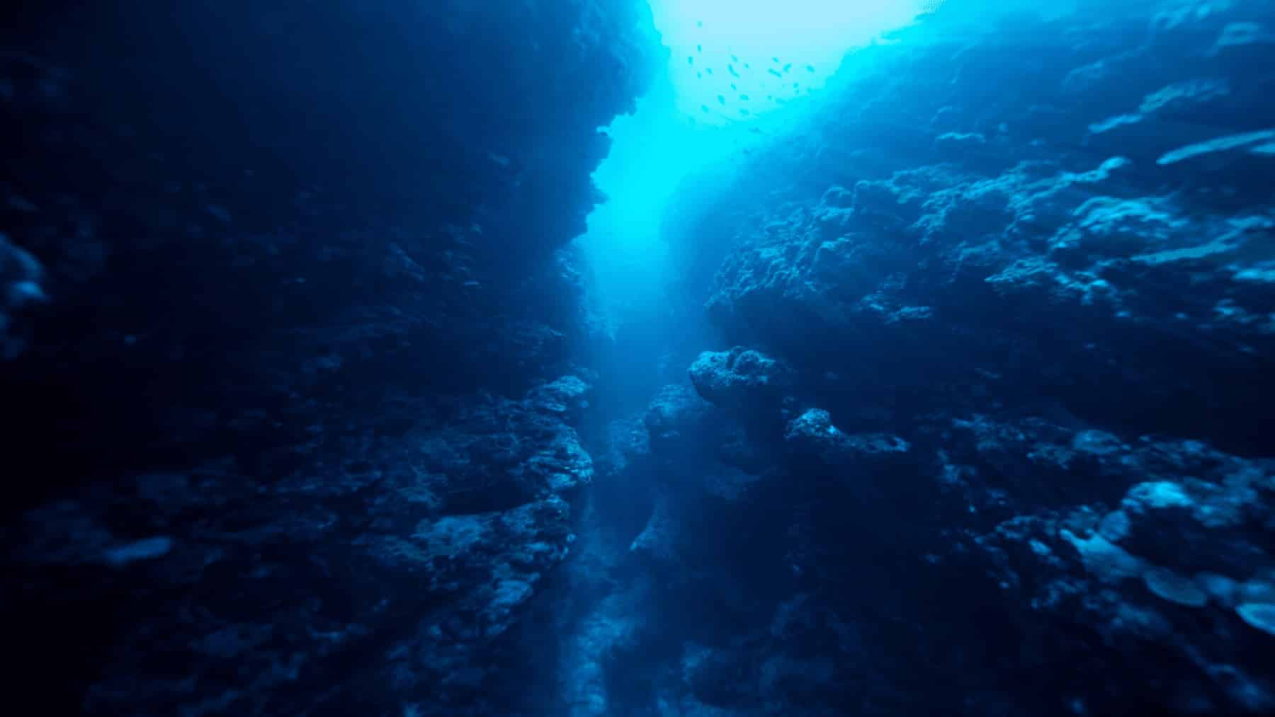 Scientists uncover shocking pollution