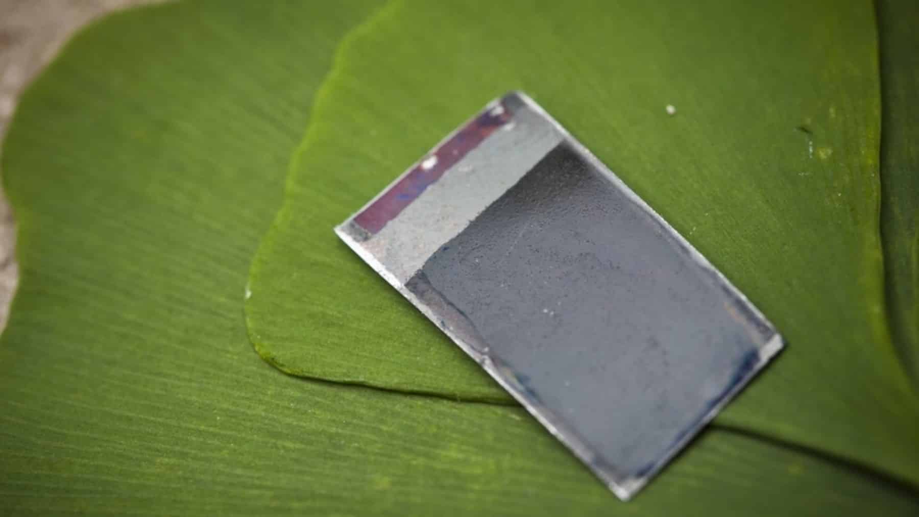 solar panel leaf shape