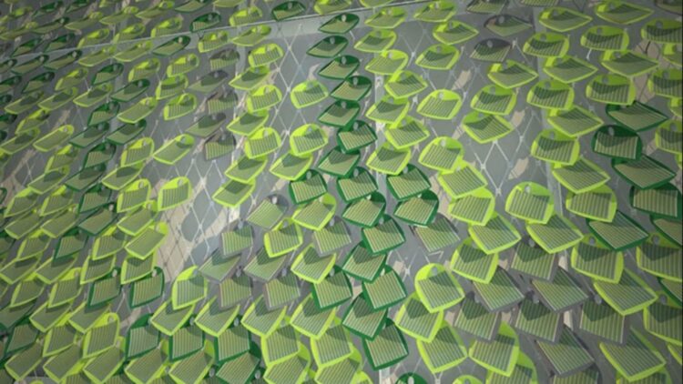 Energy, solar moss