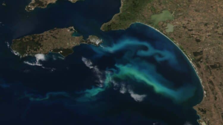 NASA detects glowing phytoplankton