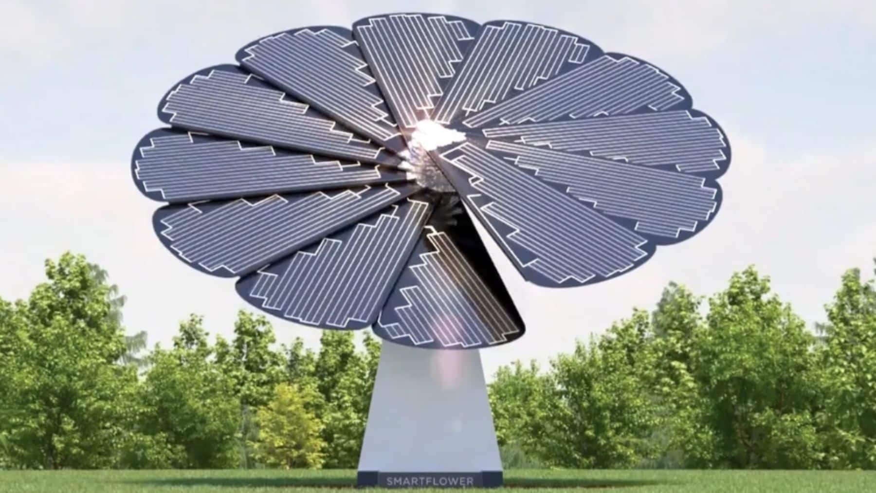 panels flower-shaped