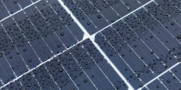 Panel new hybrid