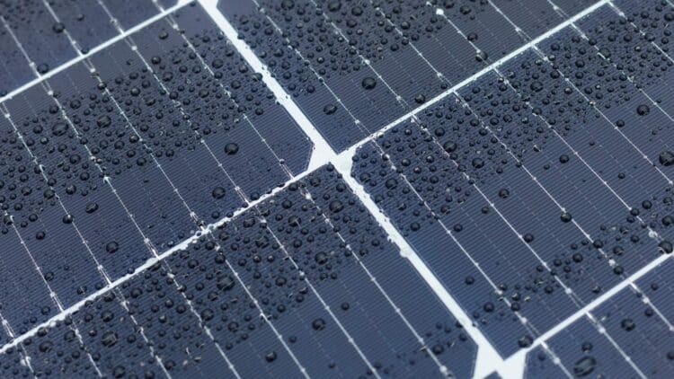 Panel new hybrid