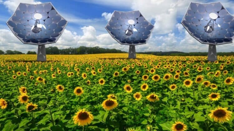 dish array single