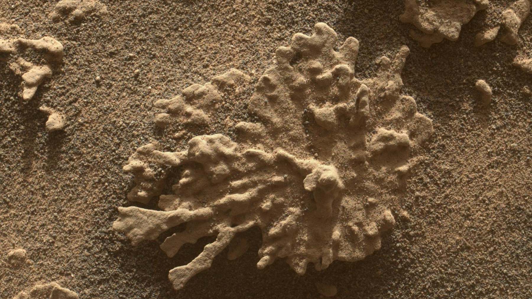 ancient object wandering the cosmos