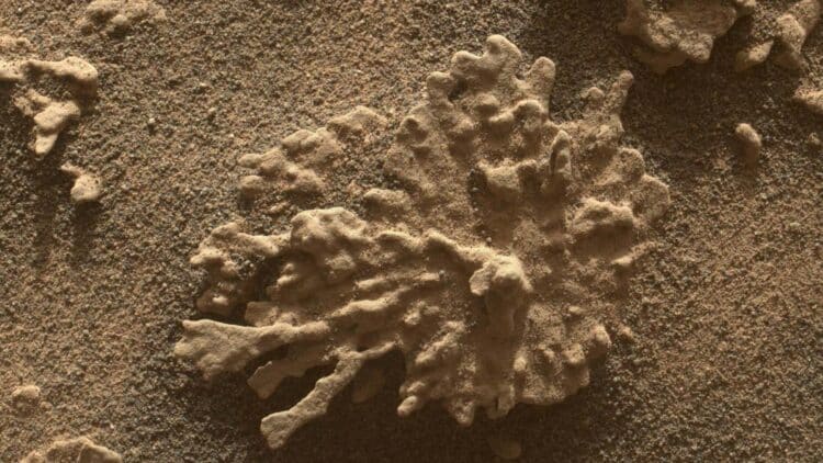 ancient object wandering the cosmos