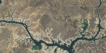 new 21st century oil in this state