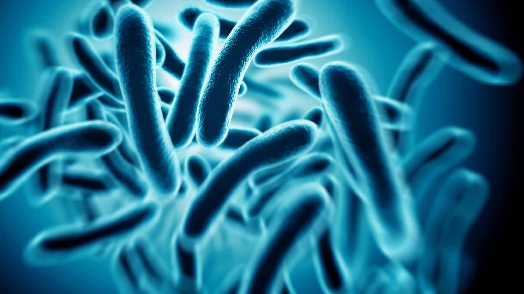 Goodbye to lithium hope — China backs living battery tech from microbes