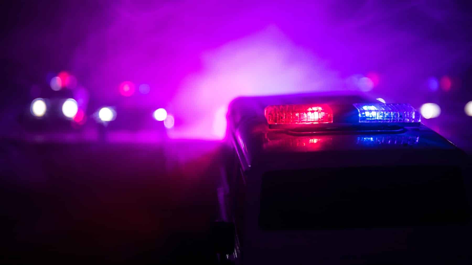 state fake police lights