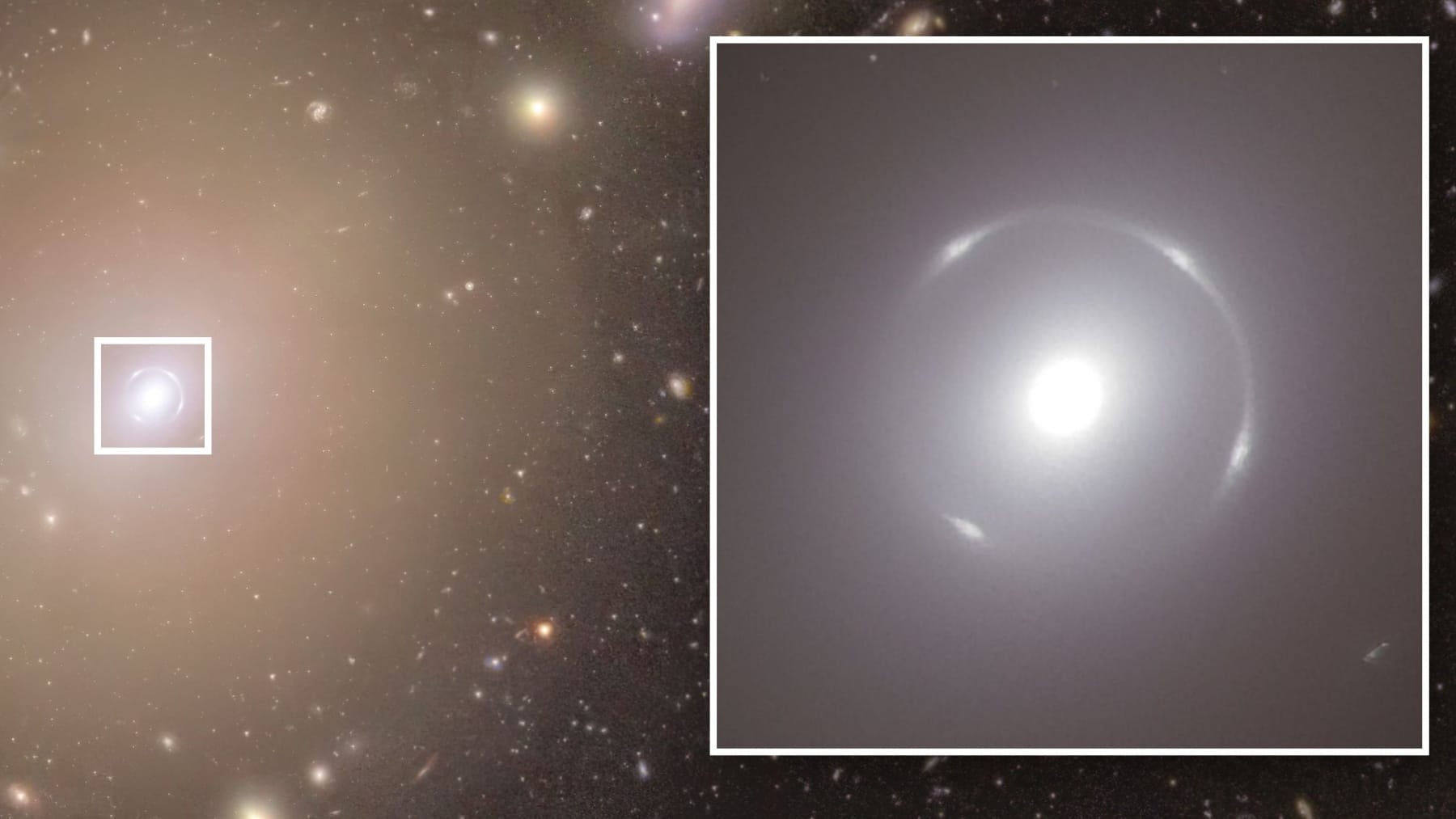 Perfect Einstein ring galaxy lensing