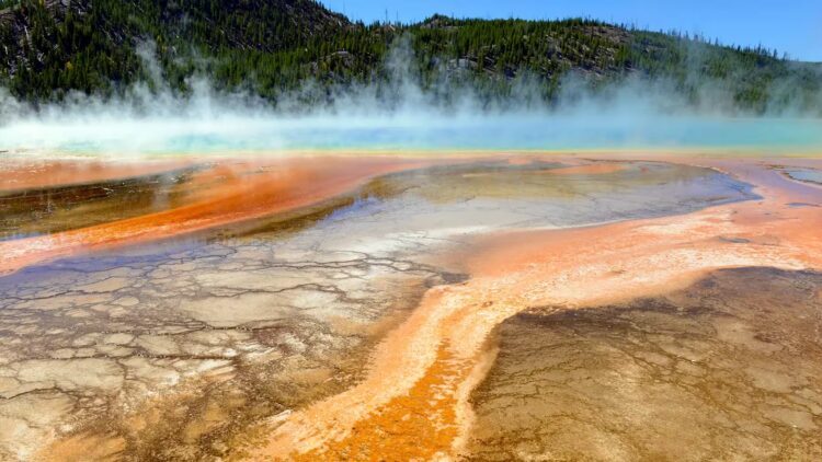 Yellowstone's solar panels