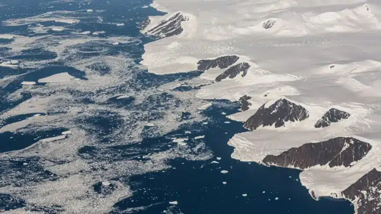 Antarctic