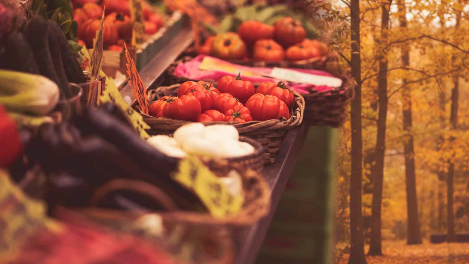 Fall vegetables rich in superfood value