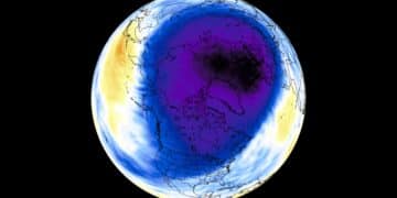 North Pacific anomaly