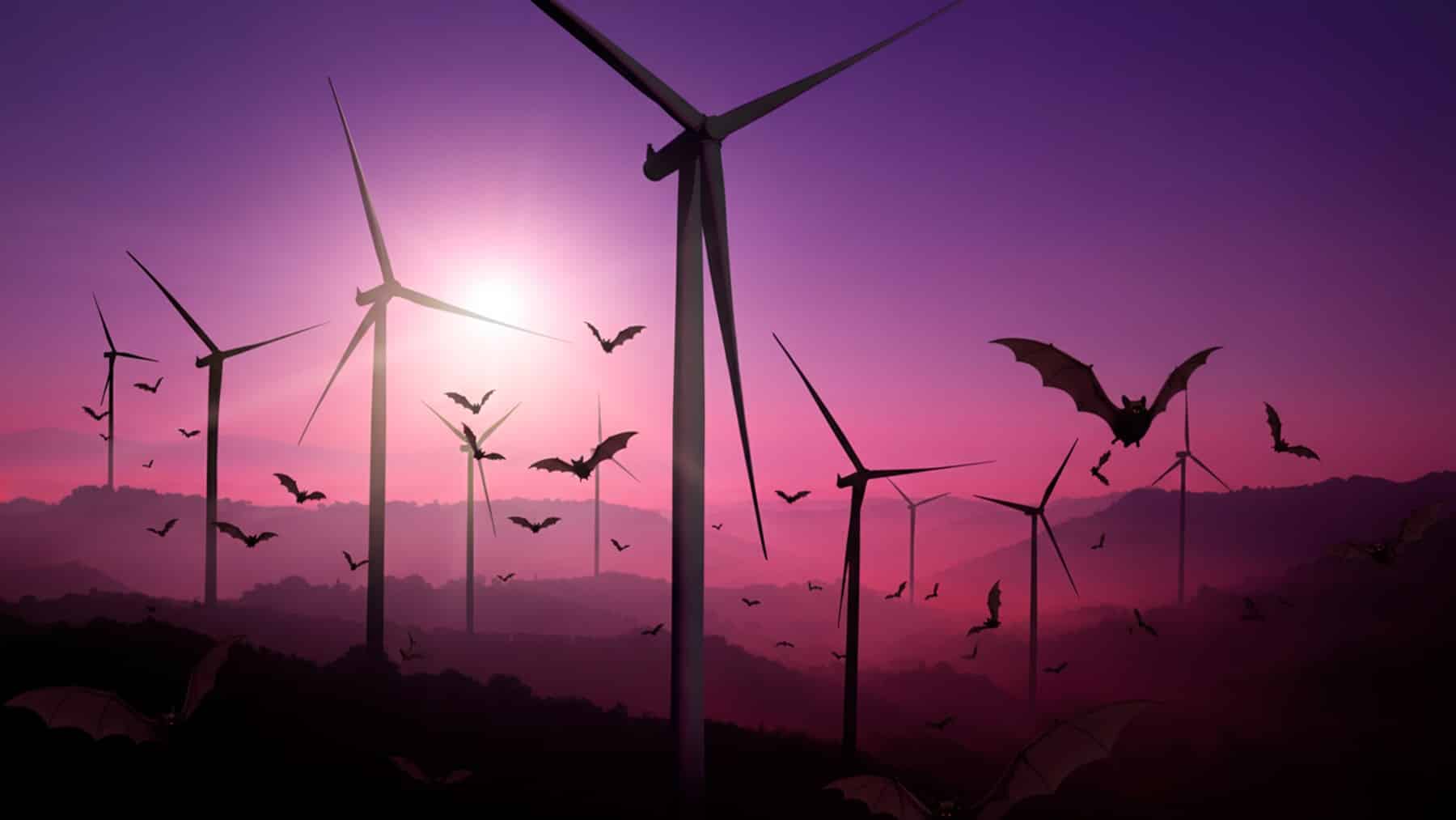 The dark side of wind turbines — 800,000 bats perish yearly, but new U ...