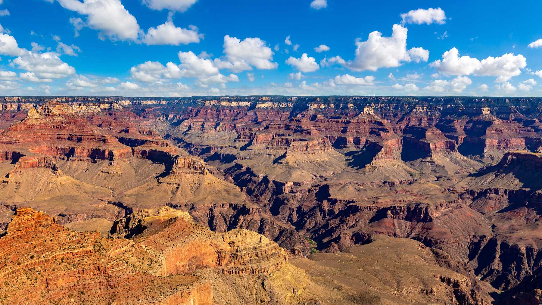 The Great Canyon is predominantly regarded as a tourist attraction but after half a billion years, palaeontologists unveiled the existence of ancient animals there