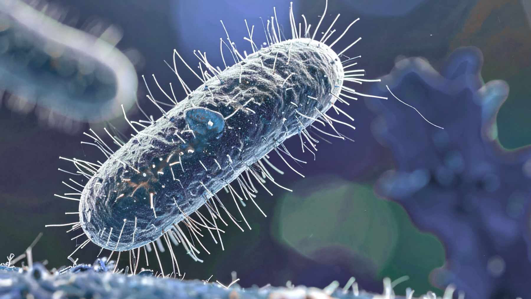 3D illustration of gut bacteria linked to research on how milk and cheese affect microbiome diversity